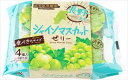 送料無料 蔵王高原農園 長野県産シャインマスカットゼリー (68g×4個)×24個