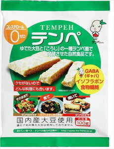 送料無料 マルシン食品 テンペ 100g×10個