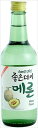 ジョウンデーメロン 360ml×20本