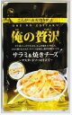 送料無料 カモ井 俺の贅沢 サラミ＆焼チーズ 41g×10個