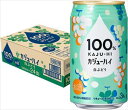 100% カジューハイ 白ぶどう チューハイ 缶 3% 340ml×24本