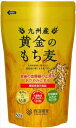 送料無料 西田精麦 九州産 黄金のもち麦 500g×24袋 1