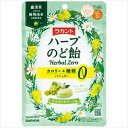 送料無料 サラヤ ラカント ハーブのど飴 マスカットハーブ味 30g×10袋