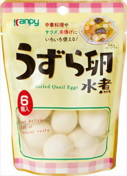 送料無料 カンピー うずら卵水煮袋(6個入り)24袋