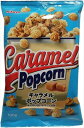 送料無料 菊屋 キャラメルポップコーン 100g×24袋
