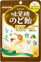 送料無料 味覚糖 味覚糖 のど飴EX 90g×72袋
