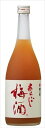 梅乃宿 あらごし梅酒 12度 梅の宿 梅乃宿酒造 720ml×6本