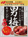 送料無料 ノ−ベルセイカ 男梅キャンディ 80g×24袋