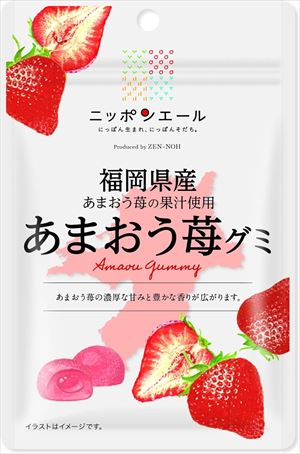 送料無料 全農 福岡県産あまおう苺グミ 40g×80袋