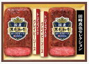 【メーカー直送】【伊藤ハムギフト 送料無料】 伊藤ハムギフト EM-100 田崎真也