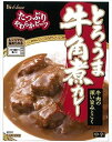 送料無料 ハウス とろうま牛角煮カレー中辛 200g×10個