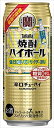 送料無料 宝 焼酎ハイボール 強烈塩レモンサイダー割り 500ml 24本