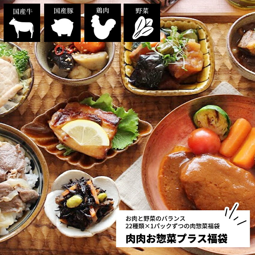 肉肉お惣菜プラス 母の日 プレゼント 22種類×1パック 【