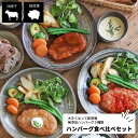 ハンバーグ食べ比べセット 母の日 プレゼント 3種類×1パック 【 母の日 惣菜 冷凍食品 おかず セット お惣菜 総菜 食品 おかずセット お惣菜セット お惣菜ギフト そうざい 詰め合わせ 無添加 冷凍 宅配 弁当 お弁当 ハンバーグ 国産牛 国産 】