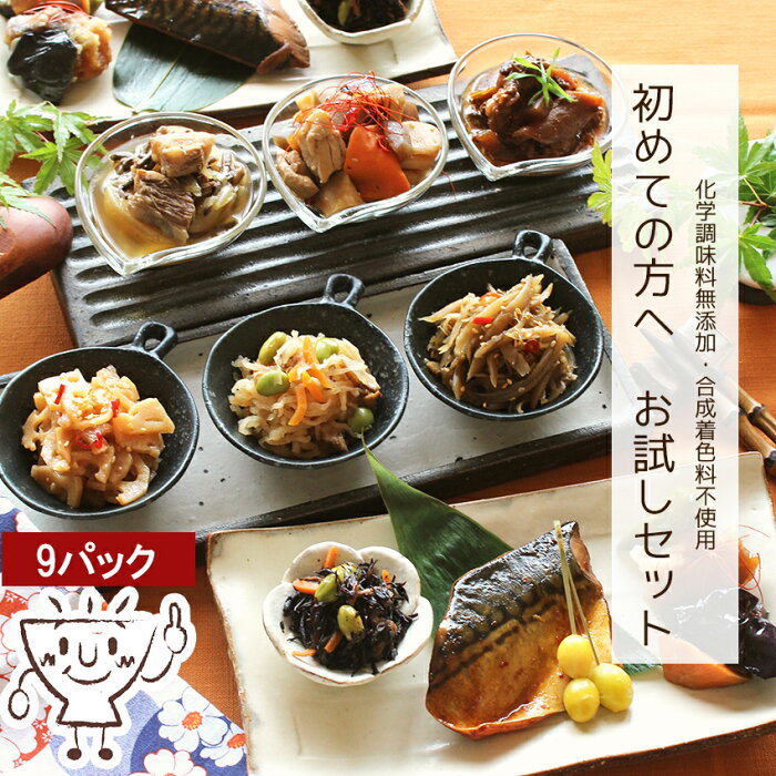 【送料無料】惣菜 お試し 9種類 セット ギフト 贈り物【きんぴら ごぼう れんこん ひじき煮 切干大根煮 筑前煮 牛すじスープ さばの煮付け ピリ辛炒 牛すじどて煮】簡単 時短 ミールキット 簡単調理 電子レンジ