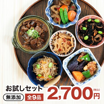 【送料無料】お試しセット 9種類 惣菜 セット きんぴら ごぼう れんこん ひじき煮 切干大根煮 筑前煮 牛すじスープ さばの煮付け ピリ辛炒 牛すじどて煮