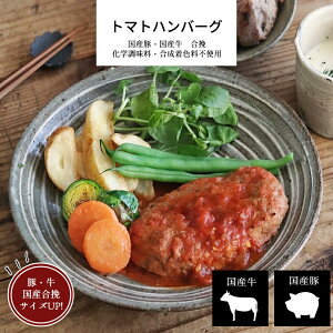 トマトソースハンバーグ 3パック 国産合挽(牛、豚)【ハンバーグ 牛肉 国産牛 豚肉 トマトソース 洋食 冷凍食品 冷凍 おかず 食品 簡単 時短 手作り お取り寄せグルメ お歳暮 秋グルメ お取り寄せ ギフト プレゼント 誕生日 内祝い お中元 父の日 母の日 敬老の日】