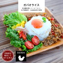 ガパオライスの具 【ガパオライス タイ料理 多国籍料理 冷凍 惣菜 冷凍食品 無添加】