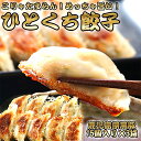 鹿児島黒豚 ひとくち餃子 45個 小分け3パック ( 2025 母の日 餃子 ぎょうざ ギョウザ ギョーザ 冷凍餃子 冷凍ギョウザ 黒豚餃子 肉餃子 国産 冷凍...