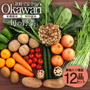 OKAWARI旬の野菜 12品お試しセット（有機野菜と特別野菜と果物）【 野菜 セット 有機栽培 特別栽培 お試し じゃがいも 人参 玉ねぎ 新鮮 安全 オーガニック 無農薬 無化学肥料 送料無料 福袋 】