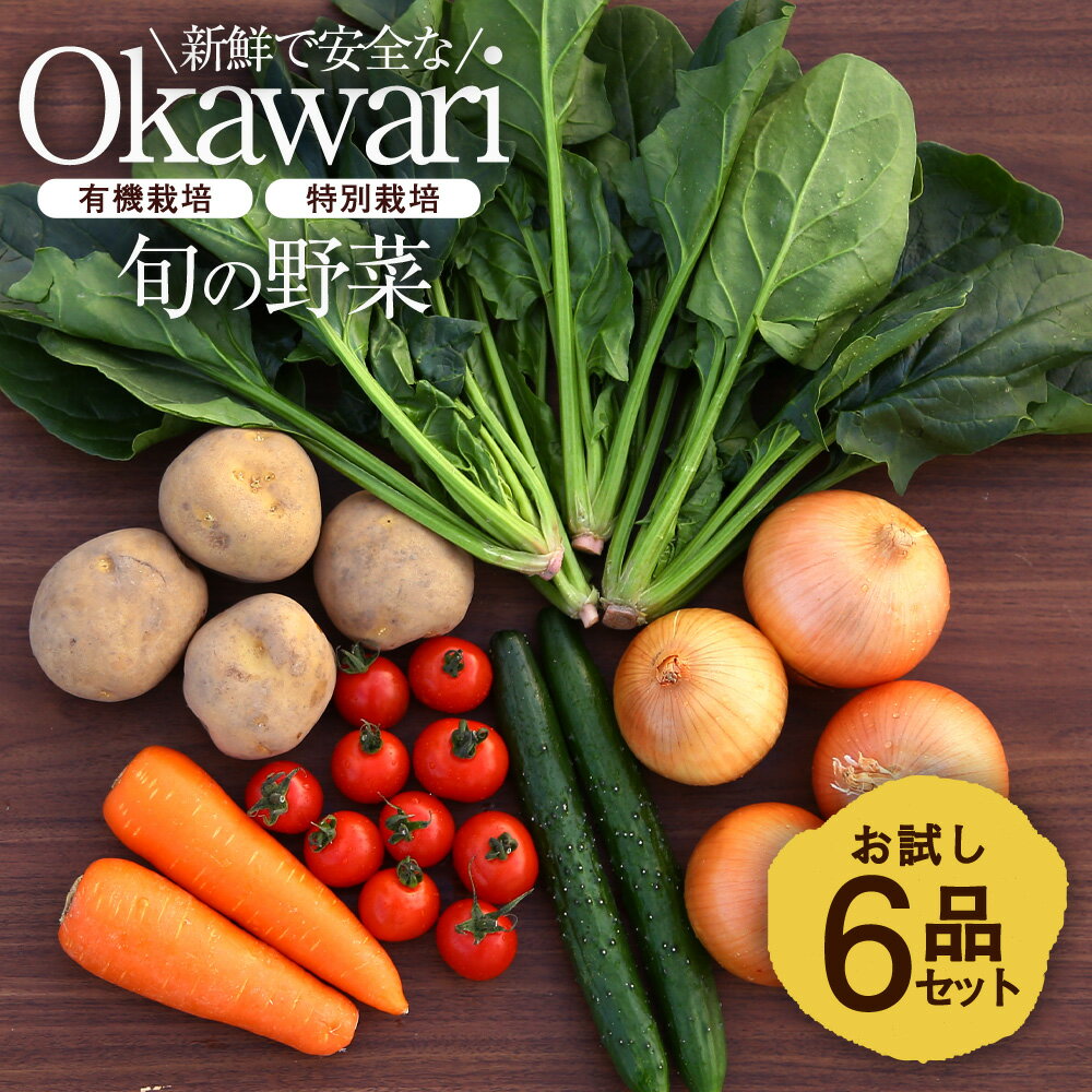 OKAWARI旬の野菜 6品お試しセット（有機野菜と特別野菜と果物）