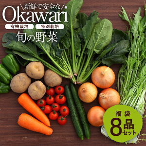 OKAWARI旬の野菜 8品お試しセット（有機野菜と特別野菜と果物）【 野菜 セット 有機栽培 特別栽培 お試し じゃがいも 人参 玉ねぎ 新鮮 安全 オーガニック 無農薬 無化学肥料 送料無料 福袋 】