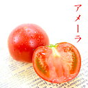アメーラ 1kg 大きさお任せ 最高品質 完熟 高糖度 フルーツ トマト 【岡山果物工房】