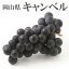 訳あり 岡山県産 キャンベル 家庭用 大きさお任せ1kg 簡易包装 希少 葡萄 ぶどう ブドウ 果物 くだもの フルーツ 【岡山果物工房】軸枯れ、脱粒がございます。ジュースなどの加工用向き
