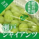 瀬戸ジャイアンツ 2房1kg 贈答用 岡山県産 葡萄 ぶどう ブドウ ギフト お歳暮 【岡山果物工房】