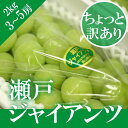 \ 種無し皮ごと / 瀬戸ジャイアンツ 3?5房2kg 家庭用 天然 スイーツ 葡萄 ぶどう ブドウ ギフト 秋ギフト ペアギフト 敬老の日 お供え【岡山果物工房】