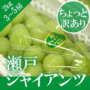 ＼ 送料無料 ／ 瀬戸ジャイアンツ 3〜5房2kg 家庭用 天然 スイーツ 葡萄 ぶどう ブドウ ギフト 秋ギフト ペアギフト 敬老の日 お供え【岡山果物工房】