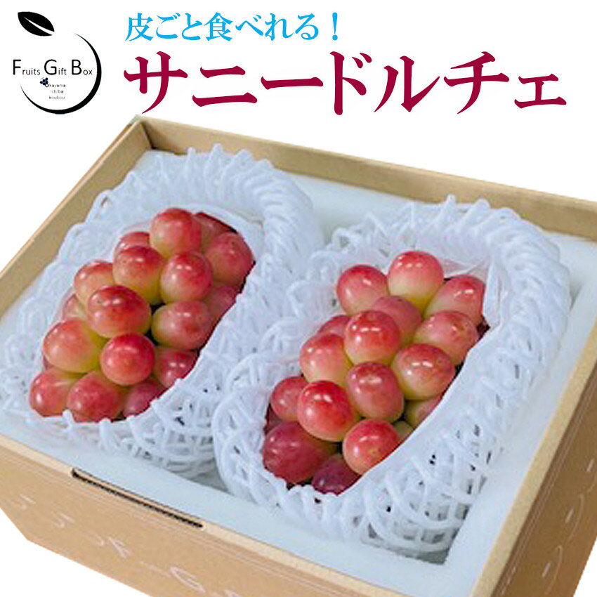 2025 ギフト 岡山県産 サニードルチェ 秀品 2房 贈答用 御中元 御歳暮 敬老の日 葡萄 ぶどう ブドウ プレゼント 御礼 御祝 御供 果物 くだもの フルーツ 【岡山果物工房】(4)