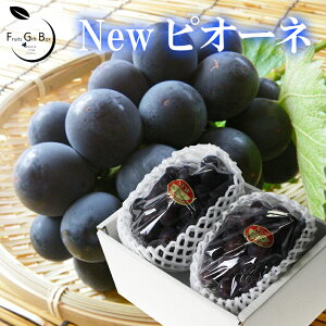 【岡山のぶどう】岡山県産の美味しいブドウをお取り寄せしたい。おすすめは？