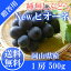岡山県産 ニュー ピオーネ 1房入り 贈答用 送料無料 葡萄 ぶどう ブドウ お中元 ギフト 【岡山果物工房】