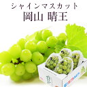 2025 岡山県産 シャインマスカット 晴王 優品 2kg(3〜5房) 簡易包装 ご家庭用 ぶどう 葡萄 ブドウ フルーツ 【岡山果物工房】枝がれや粒抜け小粒な...