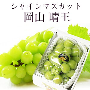 岡山県産 シャインマスカット 晴王 赤秀品 特大1房1kg以上 贈答用 葡萄 ブドウ 御中元 ギフト プレゼント 御礼 【岡山果物工房】