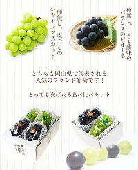 \ ちょっと訳あり / 2房 (500g×2) 優品 岡山県産 シャインマスカット 晴王 ピオーネ 家庭用 天然 スイーツ 葡萄 ぶどう ブドウ ギフト 秋ギフト ペアギフト ハロウィン お供え【岡山果物工房】