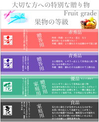 \ ちょっと訳あり / 2房 (500g×2) 優品 岡山県産 シャインマスカット 晴王 ピオーネ 家庭用 天然 スイーツ 葡萄 ぶどう ブドウ ギフト 秋ギフト ペアギフト ハロウィン お供え【岡山果物工房】