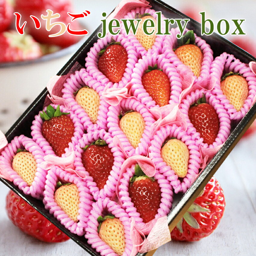 2023 ギフト いちごのジュエリーBOX 贈答用 淡雪 白いちご イチゴ 苺 卒業祝 入学祝 退職祝 合格祝 ギフト 冬ギフト プレゼント 御礼 御祝 御供 果物 くだもの フルーツ 【岡山果物工房】のサムネイル