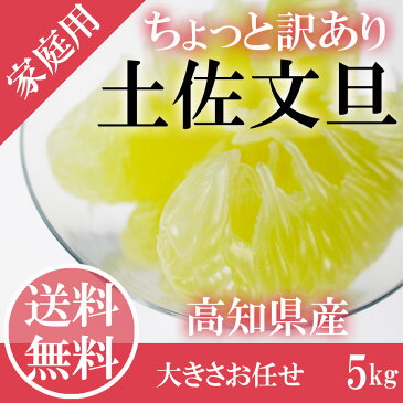 ＼ 送料無料 ／【 土佐文旦 】ちょっと訳あり 大きさお任せ 5kg 高知県産 家庭用 リサイクルBOX 傷・スレあり【岡山果物工房】