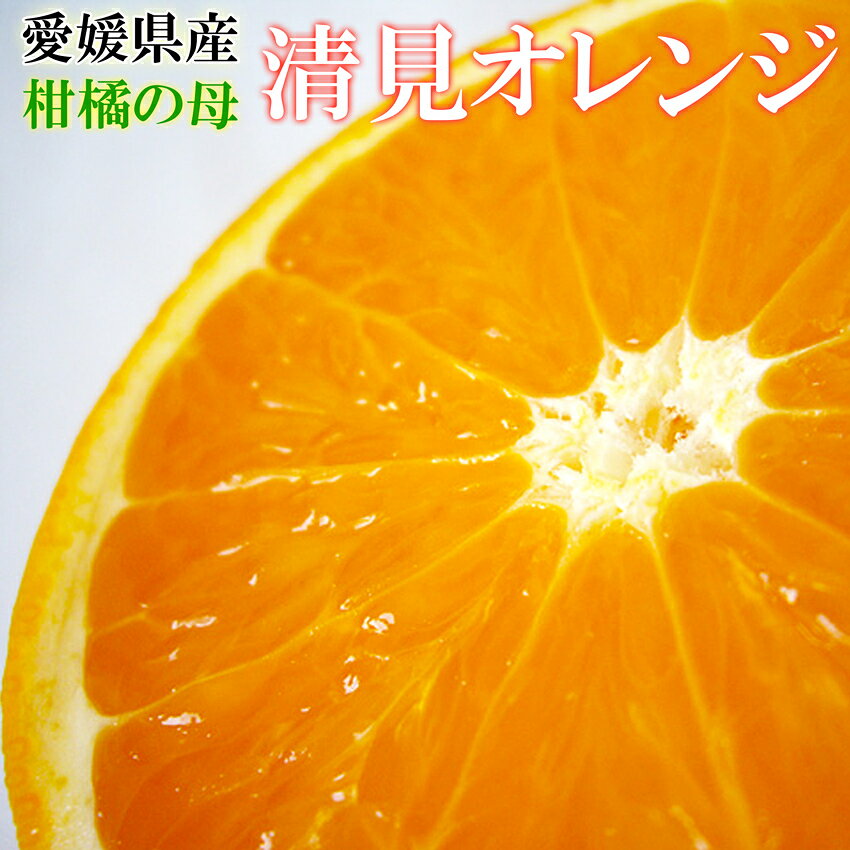 匠と極 中島産 清見オレンジ 11玉 愛媛県 贈答用 ギフト ミカン みかん 蜜柑 プレゼント 御礼 ...