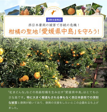 みかん いよかん 送料無料 訳あり 中島産 大きさお任せ 4.5kg 復興支援 愛媛県 JAえひめ中央 伊予柑 ミカン 【岡山果物工房】