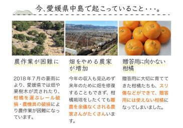 みかん いよかん 送料無料 訳あり 中島産 大きさお任せ 4.5kg 復興支援 愛媛県 JAえひめ中央 伊予柑 ミカン 【岡山果物工房】