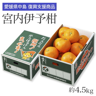 みかん いよかん 送料無料 訳あり 中島産 大きさお任せ 4.5kg 復興支援 愛媛県 JAえひめ中央 伊予柑 ミカン 【岡山果物工房】