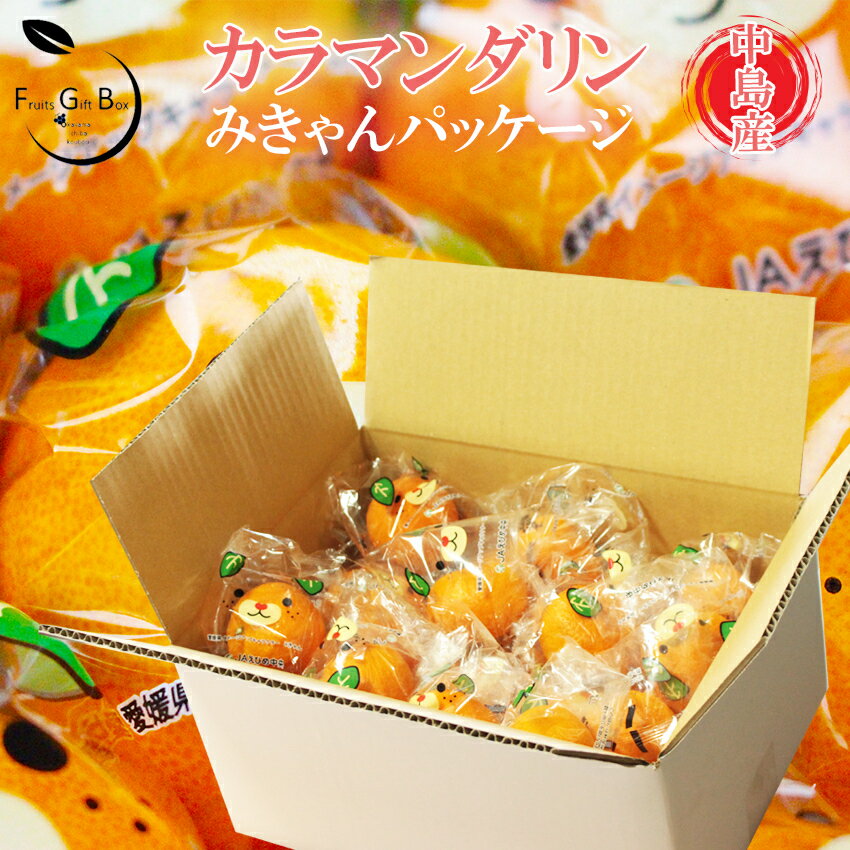 ＼ 在庫処分SALE ／ カラマンダリン みきゃんパッケージ 3kg 30玉前後 期間限定 お試し価格 簡易包装 JAえひめ中央 中島産 愛媛県 フルーツ 【岡山果物工房】数量限定販売 スーパーセール