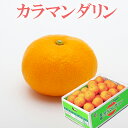 みかん カラマンダリン 赤秀品 L-3Lサイズ JAえひめ中央 中島産 愛媛県 ギフト 母の日 プレゼント 御礼 御祝 フルーツ【岡山果物工房】