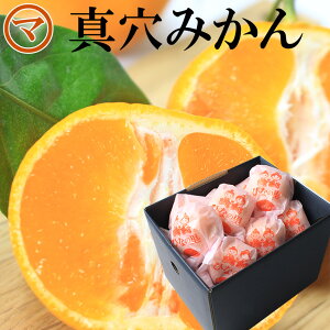 みかん 真穴みかん ひなの里 袋入り15玉 約1.2kg 愛媛 八幡浜 贈答用 ギフト ミカン プレゼント 御礼 御祝 フルーツ 【岡山果物工房】1月下旬頃より発送