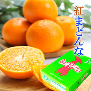 2022 お歳暮 ギフト 紅まどんな 3kg 青秀 大玉 3L-4L 8-10玉 中島産 みかん ミカン 贈答用 愛媛県産 JAえひめ中央 御歳暮 紅マドンナ プレゼント 御礼 御祝 御供 果物 くだもの フルーツ 【岡山果物工房】