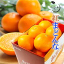 2023 お歳暮 ギフト 紅まどんな 1.5kg 青秀品 M-2L 6玉-10玉入り 中島産 みかん ...