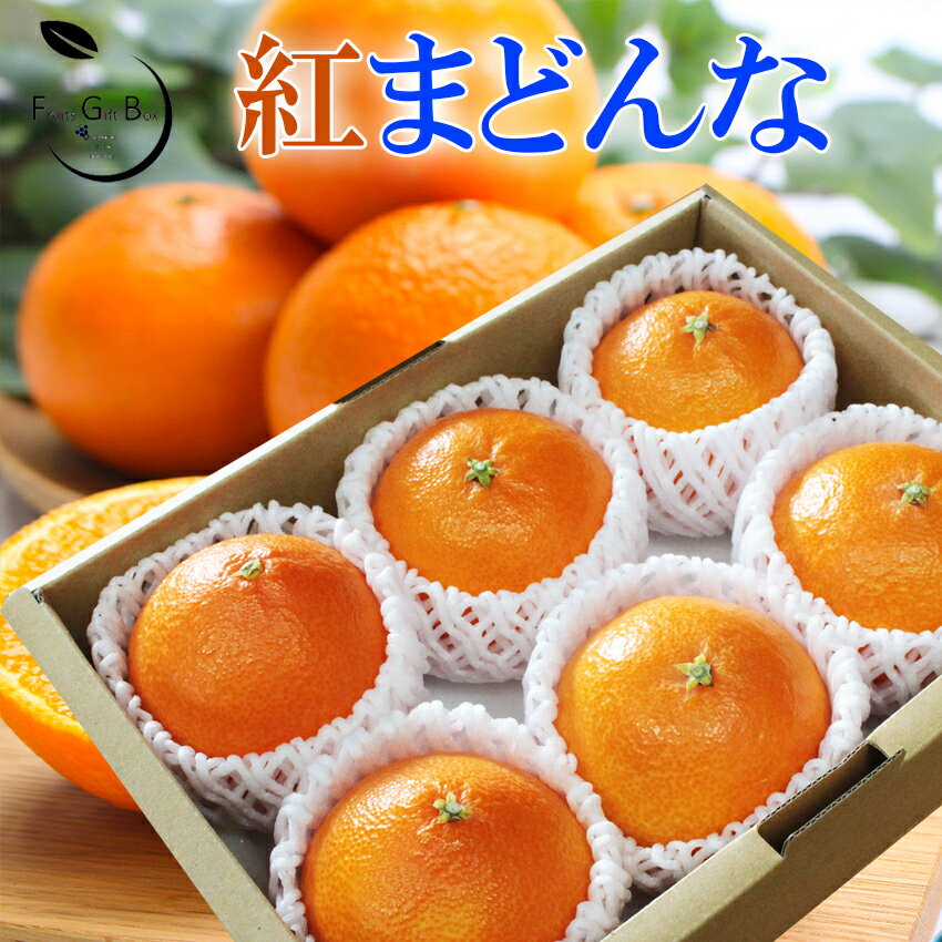 2025 お歳暮 ギフト 紅まどんな Lサイズ6玉入り 秀品 みかん ミカン 贈答用 愛媛県産 JAえひめ中央 中島 東予 にしうわ 御歳暮 紅マドンナ プレゼント 御礼 御祝 御供 果物 くだもの フルーツ 【岡山果物工房】